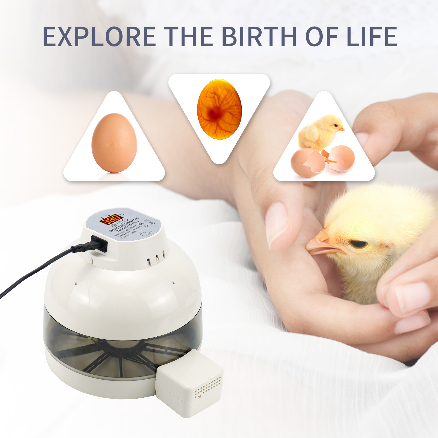 Janoel incubadora de 10 huevos