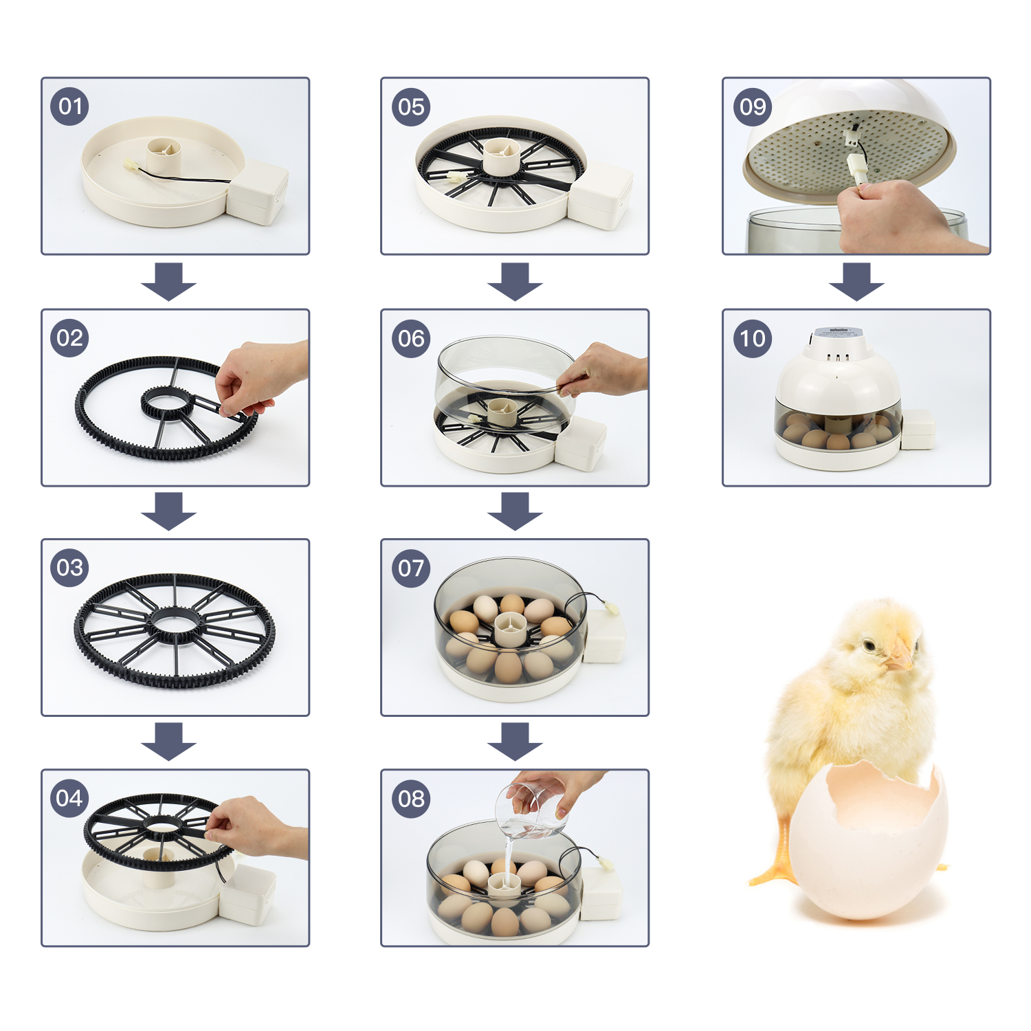 incubadora de 10 huevos