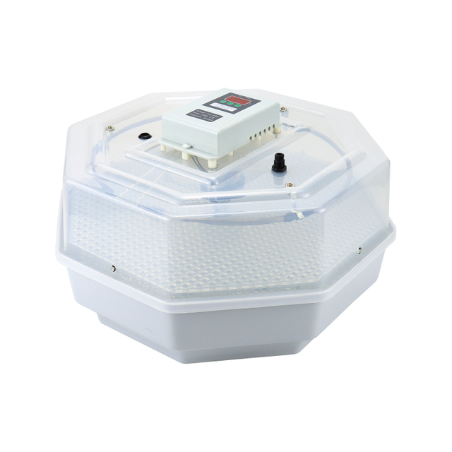 Incubadora automática de 42 huevos para pollo, pato, codorniz, huevos de ave para el hogar